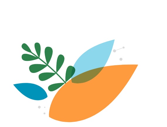3 leaf image